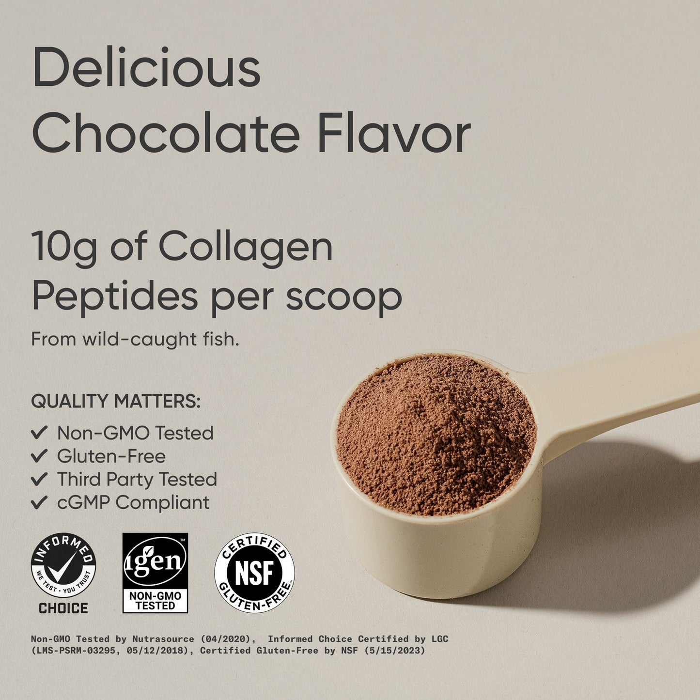 Marine Collagen Peptides Type 1 & 3 Protein Powder Amino Acids Dark Chocolate